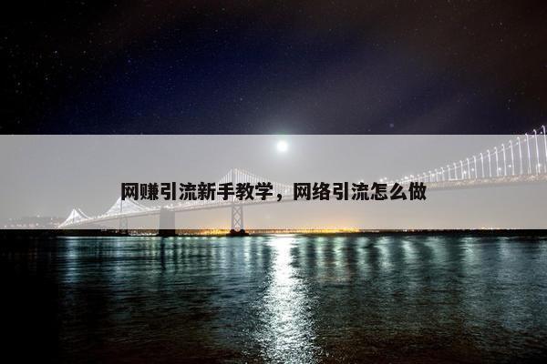 网赚引流新手教学，网络引流怎么做