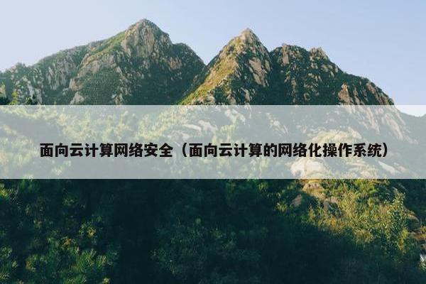 面向云计算网络安全（面向云计算的网络化操作系统）
