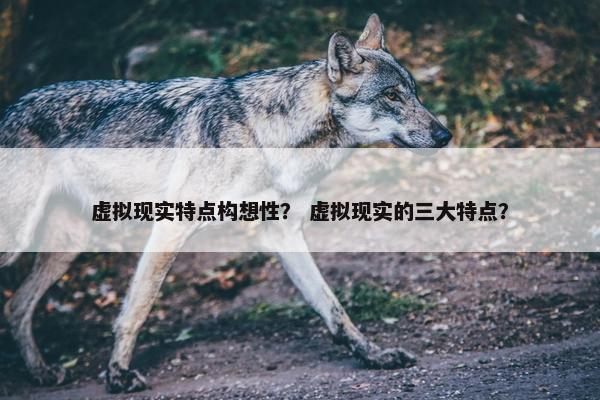 虚拟现实特点构想性？ 虚拟现实的三大特点？