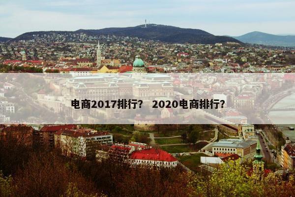 电商2017排行？ 2020电商排行？