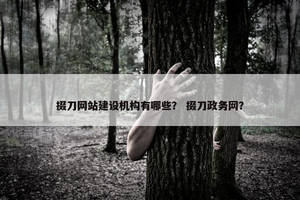 掇刀网站建设机构有哪些？ 掇刀政务网？