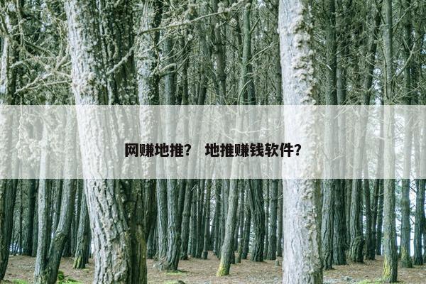 网赚地推？ 地推赚钱软件？