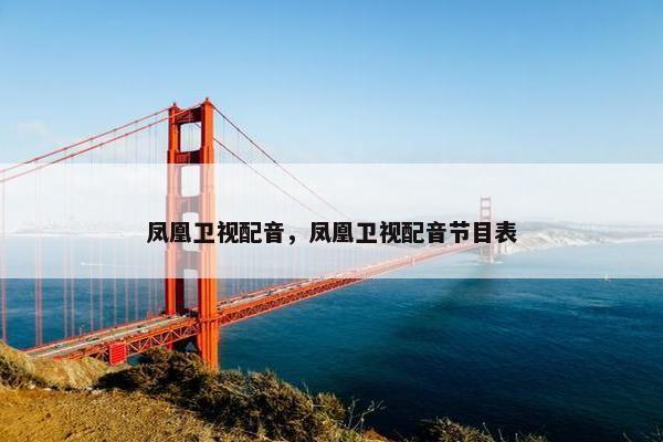 凤凰卫视配音，凤凰卫视配音节目表