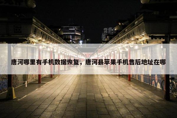 唐河哪里有手机数据恢复，唐河县苹果手机售后地址在哪