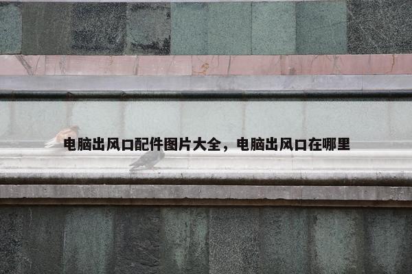 电脑出风口配件图片大全，电脑出风口在哪里
