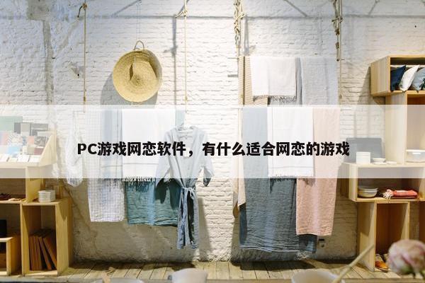 PC游戏网恋软件，有什么适合网恋的游戏