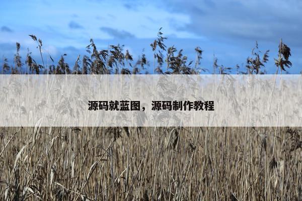 源码就蓝图，源码制作教程
