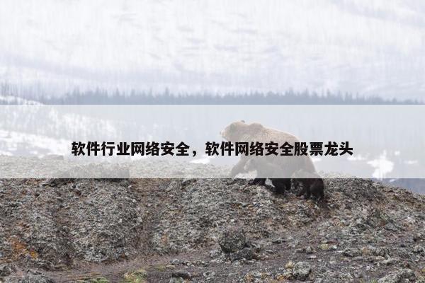 软件行业网络安全，软件网络安全股票龙头