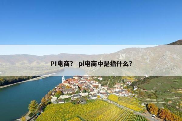 PI电商？ pi电商中是指什么？