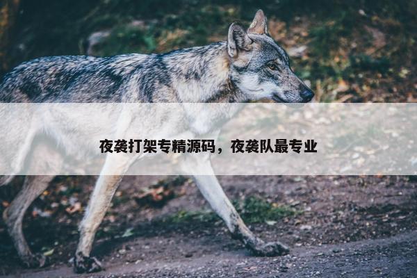 夜袭打架专精源码，夜袭队最专业