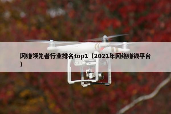 网赚领先者行业排名top1（2021年网络赚钱平台）