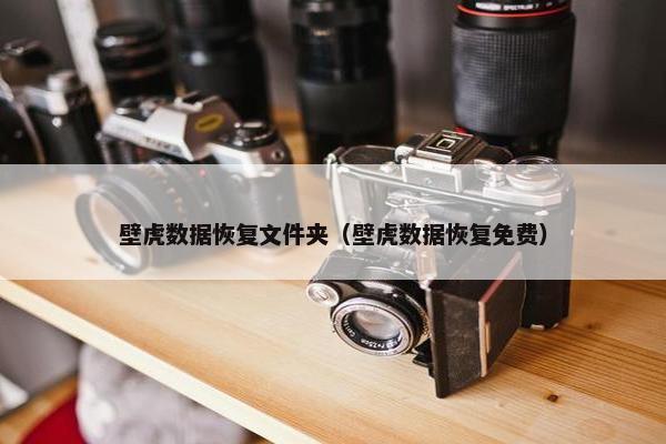 壁虎数据恢复文件夹（壁虎数据恢复免费）