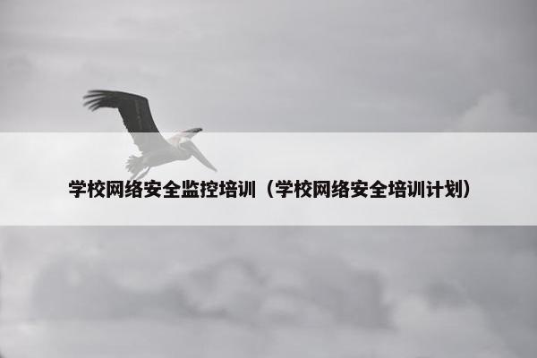 学校网络安全监控培训（学校网络安全培训计划）