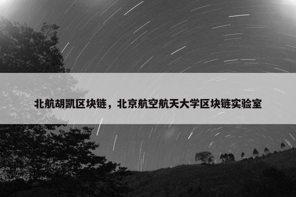 北航胡凯区块链，北京航空航天大学区块链实验室