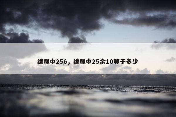 编程中256，编程中25余10等于多少