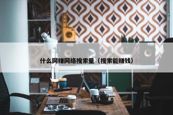 什么网赚网络搜索量（搜索能赚钱）