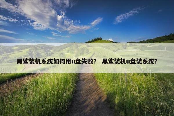 黑鲨装机系统如何用u盘失败？ 黑鲨装机u盘装系统？