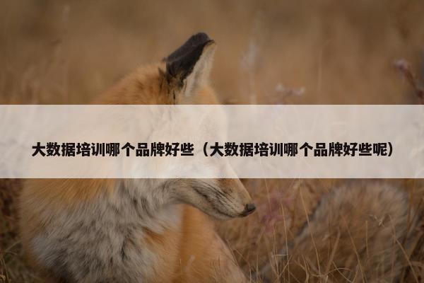 大数据培训哪个品牌好些（大数据培训哪个品牌好些呢）