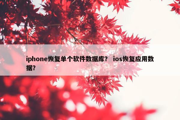 iphone恢复单个软件数据库？ ios恢复应用数据？