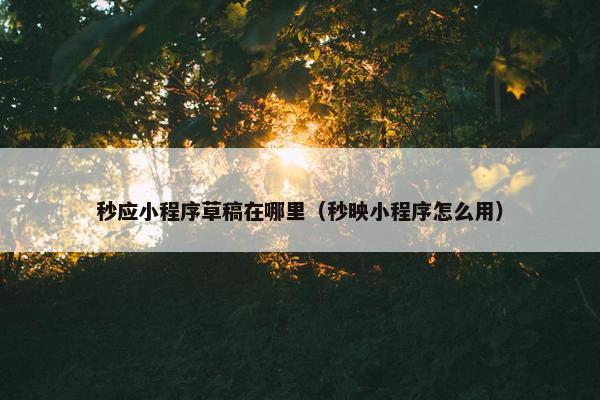 秒应小程序草稿在哪里（秒映小程序怎么用）