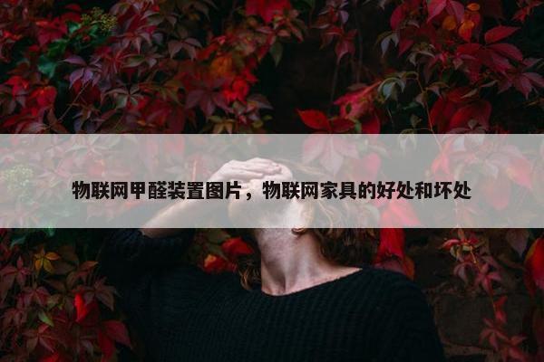 物联网甲醛装置图片，物联网家具的好处和坏处