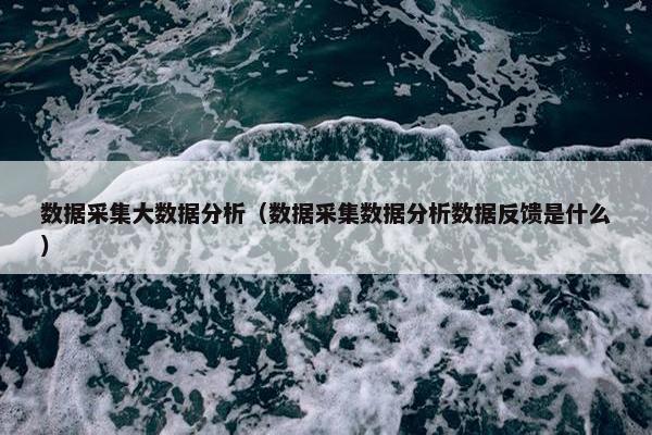 数据采集大数据分析（数据采集数据分析数据反馈是什么）
