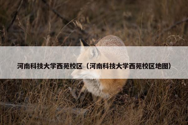 河南科技大学西苑校区（河南科技大学西苑校区地图）