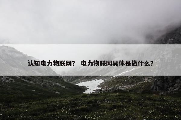 认知电力物联网？ 电力物联网具体是做什么？