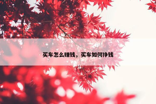 买车怎么赚钱，买车如何挣钱