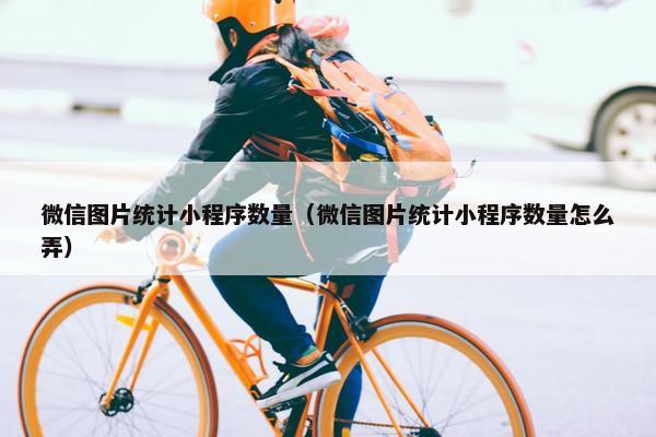 微信图片统计小程序数量（微信图片统计小程序数量怎么弄）