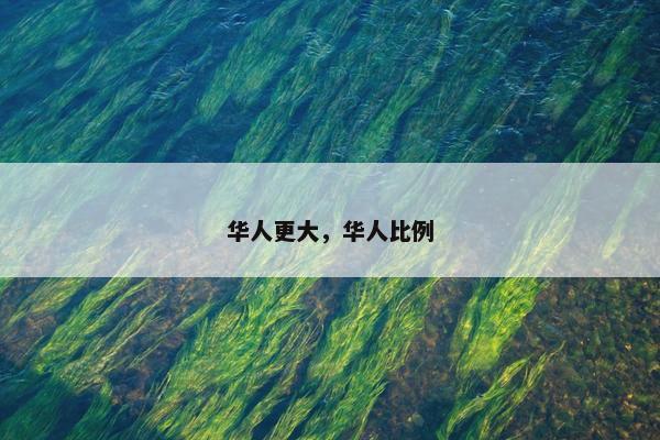 华人更大，华人比例