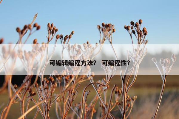 可编辑编程方法？ 可编程性？