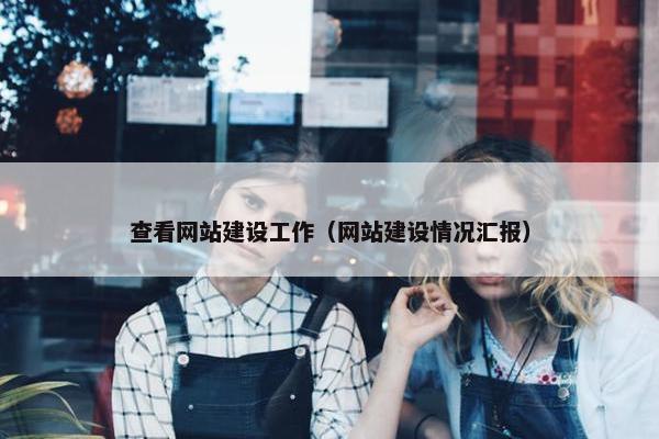 查看网站建设工作（网站建设情况汇报）