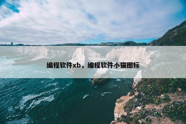 编程软件xb，编程软件小猫图标
