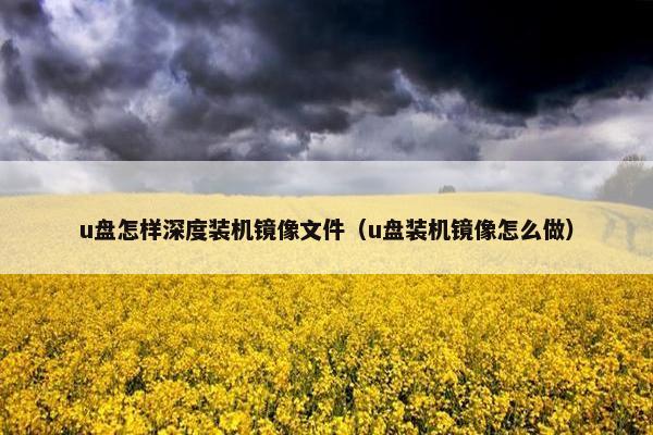 u盘怎样深度装机镜像文件（u盘装机镜像怎么做）