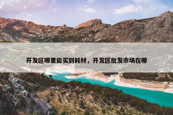 开发区哪里能买到耗材，开发区批发市场在哪