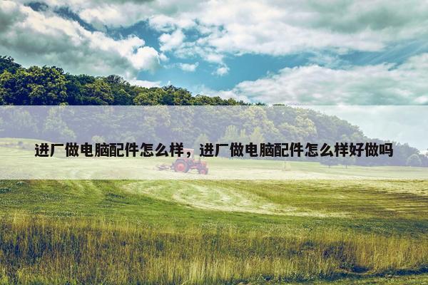 进厂做电脑配件怎么样，进厂做电脑配件怎么样好做吗