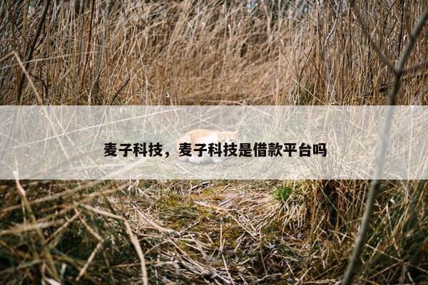 麦子科技，麦子科技是借款平台吗