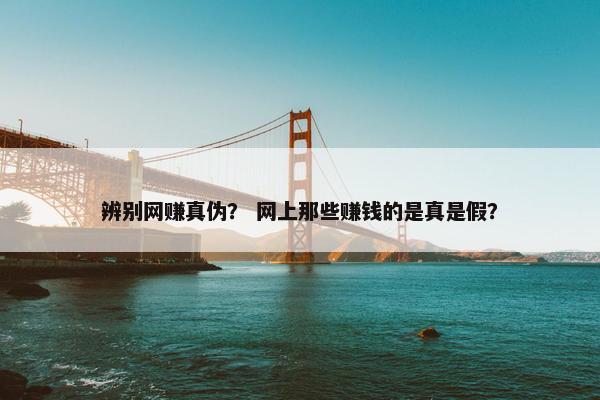 辨别网赚真伪？ 网上那些赚钱的是真是假？