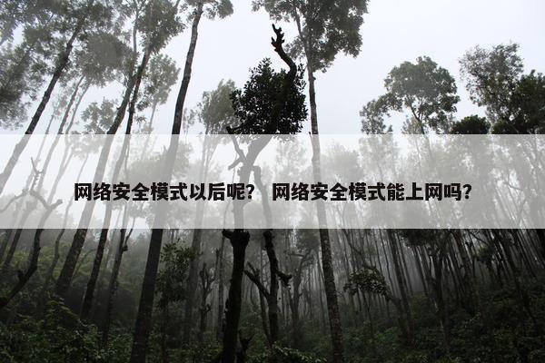 网络安全模式以后呢？ 网络安全模式能上网吗？