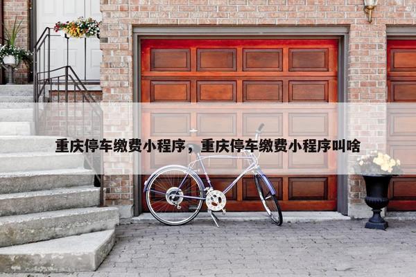 重庆停车缴费小程序，重庆停车缴费小程序叫啥