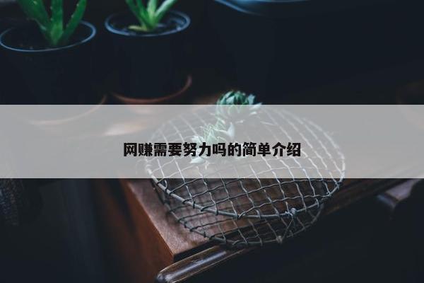 网赚需要努力吗的简单介绍