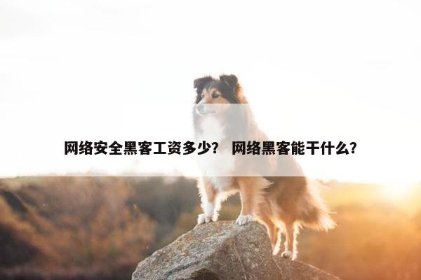 网络安全黑客工资多少？ 网络黑客能干什么？