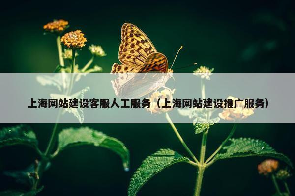 上海网站建设客服人工服务（上海网站建设推广服务）