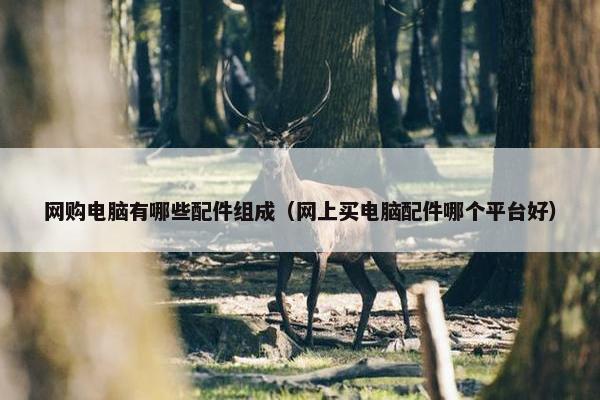 网购电脑有哪些配件组成（网上买电脑配件哪个平台好）