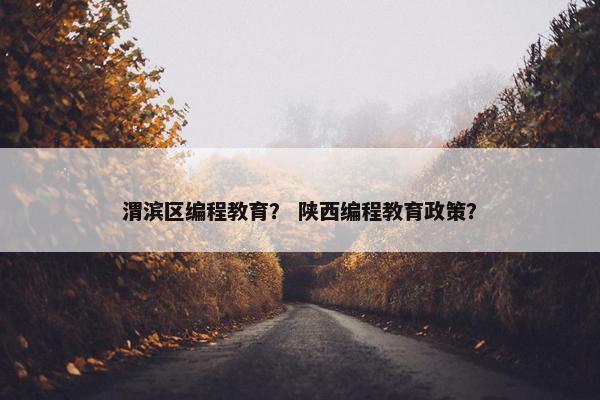 渭滨区编程教育？ 陕西编程教育政策？
