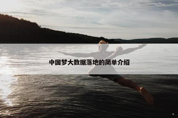 中国梦大数据落地的简单介绍