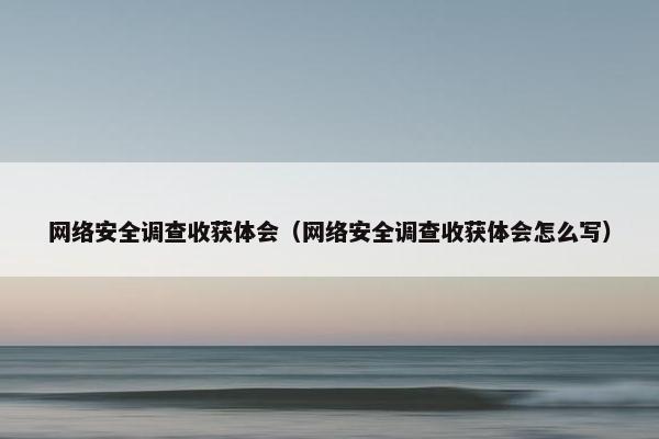 网络安全调查收获体会（网络安全调查收获体会怎么写）