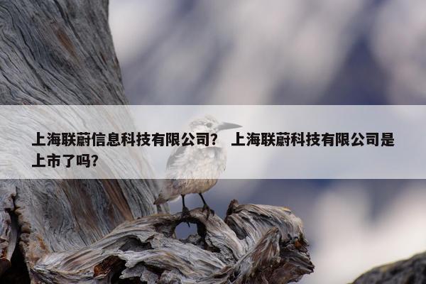 上海联蔚信息科技有限公司？ 上海联蔚科技有限公司是上市了吗？