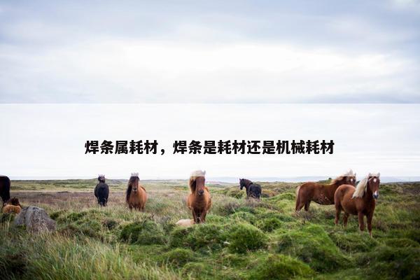 焊条属耗材，焊条是耗材还是机械耗材